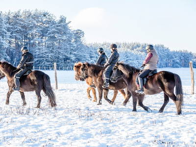 Bild 3 aus  Reiter- und Erlebnisbauernhof Groß Briesen