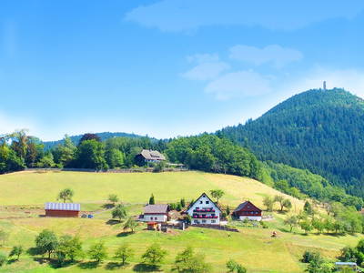 Ferienhof Müllerbauernhof im Schwarzwald