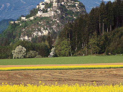 Bild 12 aus  Biolandhaus Arche