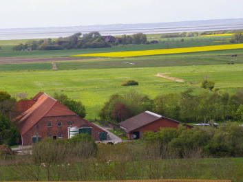 Bild 10 aus  Ferienhof Gerdes Plaats