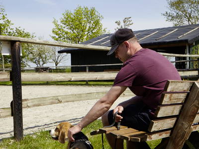 Bild 19 aus  LandSelection Traberhof