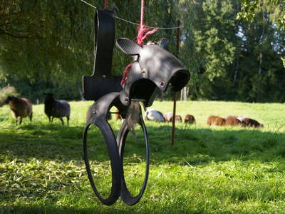 Bild 14 aus  Gutshaus Barkow