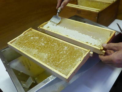 Bild 43 aus  Ferienhof Wolschendorf