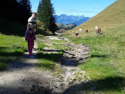 Bild 11 aus  Ferienhof Fink