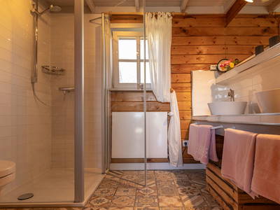 Bild 31 aus  Gestüt Hof am See