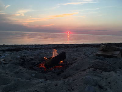 Bild 42 aus  Luftsnapper & Fellnasen