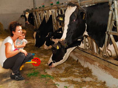 Bild 11 aus  Huberhof