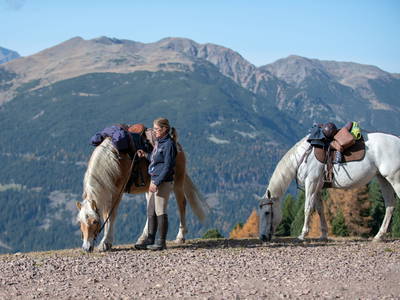 Bild 6 aus  Biobergbauernhof Garmesegg