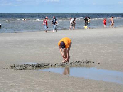 Bild 60 aus  Ferienhof Peter -  Ponys - streicheln, striegeln, füttern  -  Wattwanderungen + ganz viel Nordsee