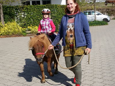 Bild 15 aus  Schellen Hof