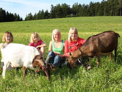 Bild 17 aus  Schlosshof - der Urlaubsbauernhof