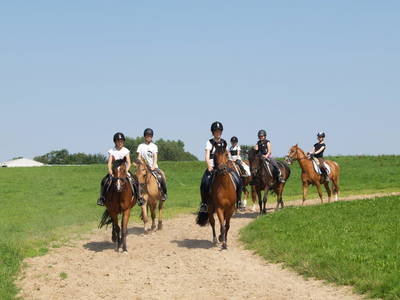 Bild 7 aus  Gestüt Hof am See