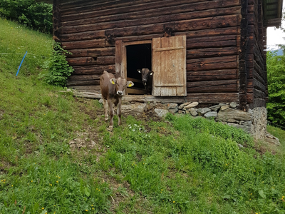 Bild 10 aus  Haus Burbach