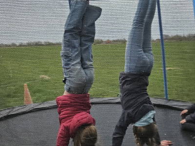 Bild 17 aus  Ferienhof Hasseler