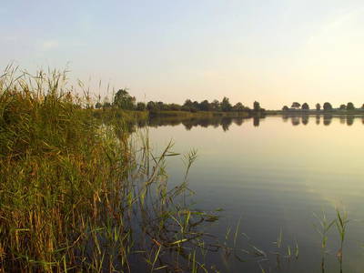 Bild 47 aus  Ferien am Schloss