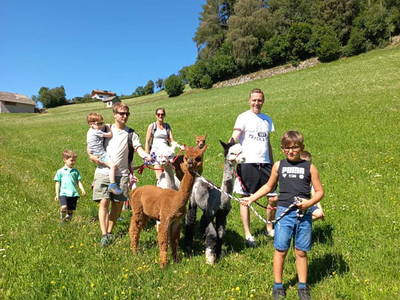 Bild 9 aus  Appartement Birkenhof - Urlaub mit Pferden und Alpakas