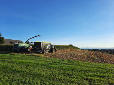 Bild 38 aus  Erholung - Natur pur - Urlaub auf dem Loyerhof