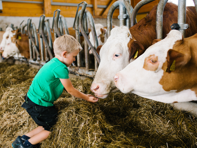 Bild 23 aus  Wimmerhof