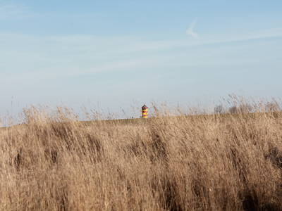 Bild 14 aus  Hof Sassen