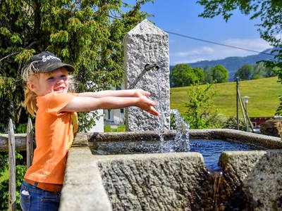 Bild 47 aus  Haberlhof