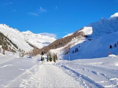 Bild 26 aus  Haus Steger