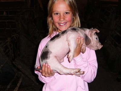 Bild 17 aus  Ferienhof Dingeldey