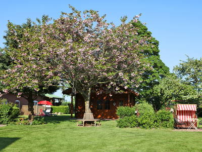 Bild 27 aus  Hofbude Fehmarn