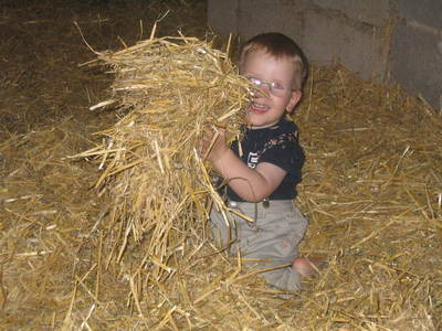 Bild 5 aus  Breuer-Hof