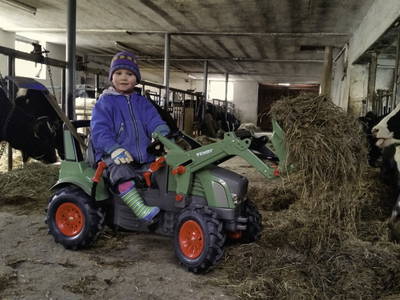 Bild 26 aus  Ferienhof Zinn