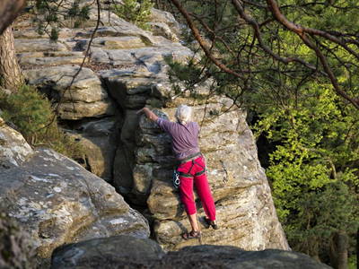 Bild 33 aus  Landgasthaus Hoffmann
