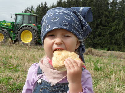 Bild 22 aus  Steffahof - Mitglied von LandSelection