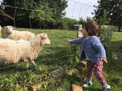 Bild 62 aus  FerienGut Dalwitz     www.feriengutdalwitz.de