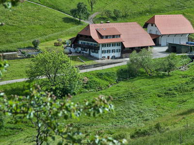 Bild 15 aus  Bauernhof Rützler