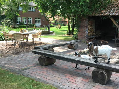 Bild 16 aus  Onken's Hof an der Niedersächsischen Nordseeküste, in Ostfriesland