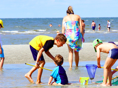 Bild 43 aus  Ferienhof Peter -  Ponys - streicheln, striegeln, füttern  -  Wattwanderungen + ganz viel Nordsee