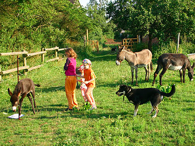 Bild 3 aus  Ferien in Zempow