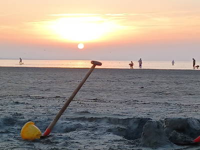 Bild 41 aus  Ferienhof Nordorfer Grashaus