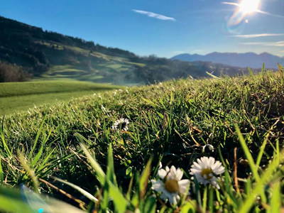 Bild 14 aus  Ferienwohnung Landhaus Waltner