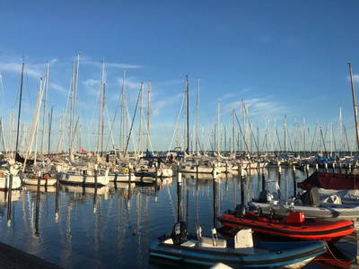 Bild 18 aus  Sprengerhof