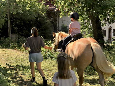 Bild 2 aus  Fuchsbauernhof