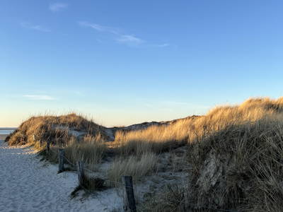 Bild 26 aus  norderdiekhuus -  renoviertes Reetdachhaus in Strandnähe