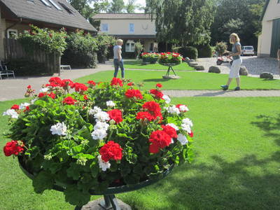 Blumenkübelbelpflanzung