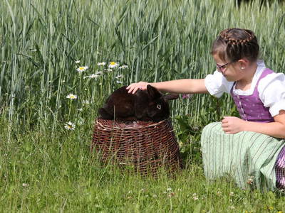 Bild 10 aus  Beim Lenglacher