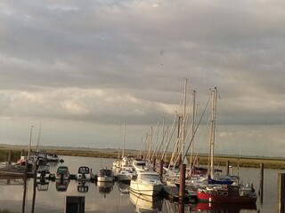 Bild 27 aus  Hof Vorwerk Familie Böye