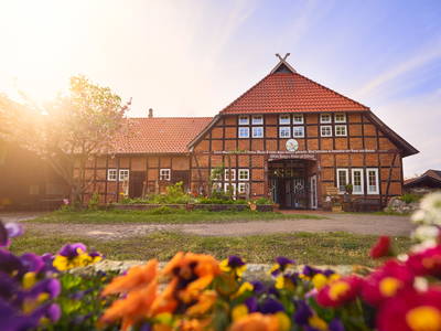 Bild 7 aus  Ferienhof Heidemann