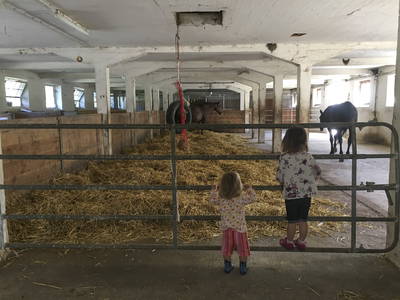 Bild 22 aus  LandSelection Gutshof Käppeler