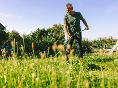 Bild 3 aus  Ferienhof Schwehr