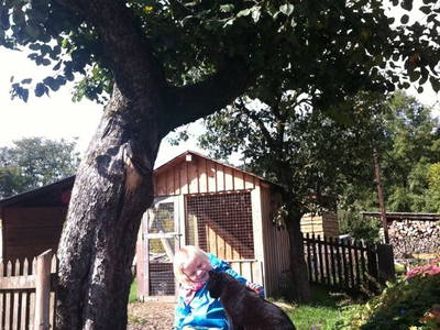 Bild 46 aus  Ferienbauernhof Voß