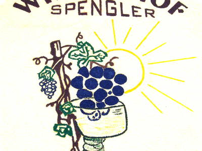 Bild 11 aus  Weingut & Winzerhof  Thomas Spengler