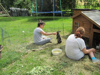 Bild 4 aus  Burkelshof